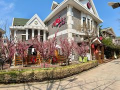 -京和日法料理(枫林街店)