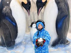 -广州热雪奇迹