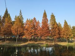 -浙江农林大学(东湖校区)