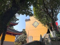-鸡鸣赐茶(鸡鸣寺路店)