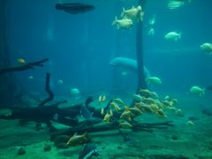 android_upload_pic-广东省拱北口岸中国旅行社(华宾营业部)