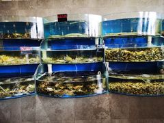 水产区-蓝珊甄选海鲜自助·火锅大排档(近阿那亚店)
