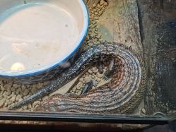 -酷嗒动物文化乐园(cutezoo西溪乐天城店)