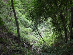 -大岭沟猕猴桃谷风景区