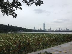 -南京奥林匹克体育中心-体育馆