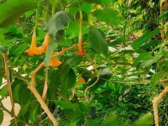 -北京植物园-展览温室