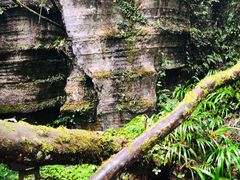 -梭布垭石林景区