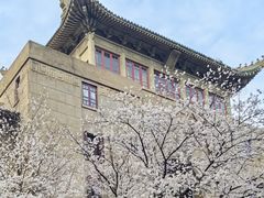 -武汉大学-樱园