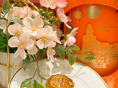 -COVA(新天地Xintiandi店)