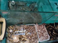 -小时候焗海鲜(鄞州万达店)
