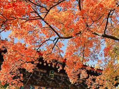 -香山公园-东宫门售票处