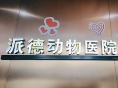 -pd派德宠物中心医院24H急重症·眼科中心·血液透析中心(嵩山北路店)