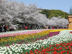 -苏州上方山国家森林公园