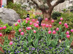 -徐家汇源景区-衡山公园