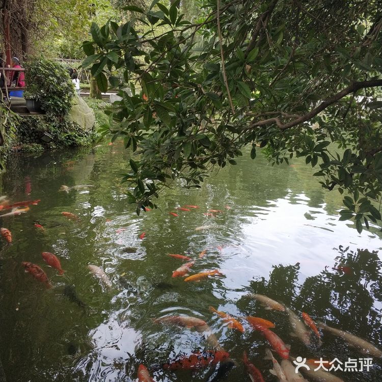 成都周边游攻略｜都江堰景区拍照指南