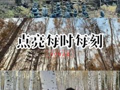 -茅兰沟国家森林公园