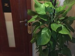 -裕和堂中医推拿艾灸(太古汇臻品店)