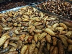 -昆虫窝子·特色云南菜(拓东路总店)
