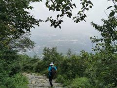 -阳台山自然风景区