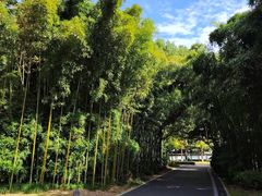 -苏州河梦清园环保主题公园