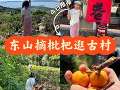 -东山风景区(洞庭东山)