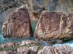 -广州白江湖森林公园