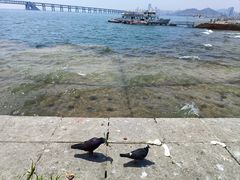 -星海广场