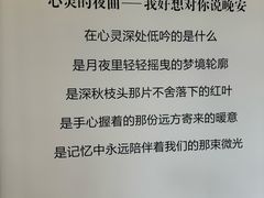 -安佘酒店(苏州观前街平江路店)