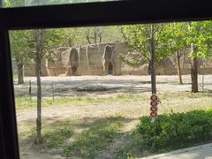 -秦皇岛野生动物园