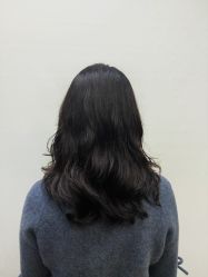 点击看大图 -藤野造型