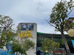 -合肥海洋世界