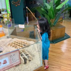 -未来动物城主题公园(正弘城店)