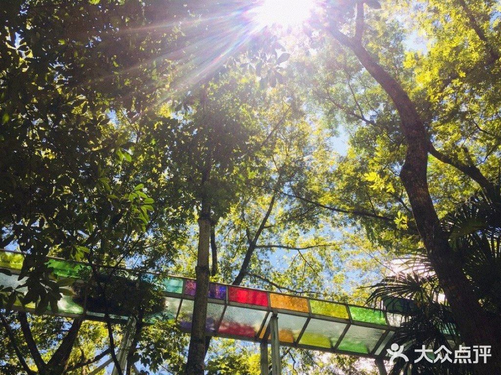 长沙必玩｜周末去哪浪？🌊🌊🌊