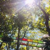 长沙必玩｜周末去哪浪？🌊🌊🌊