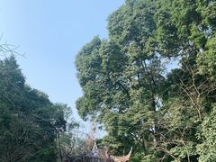 -青城山