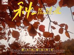 -香山公园