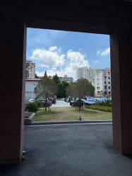 -复旦大学附属妇产科医院(杨浦院区)