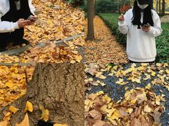 -河南省黄河迎宾馆