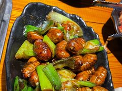 烤蚕蛹-丹东特色烤肉(学府路一部店)