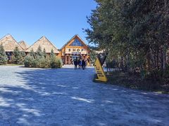 -黑瞎子岛探秘野熊园