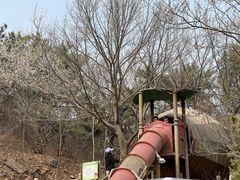 -北京西山国家森林公园