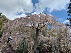 -京都御所