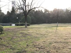 -环城公园-琥珀潭