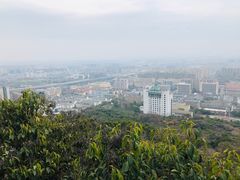 -杭州半山国家森林公园