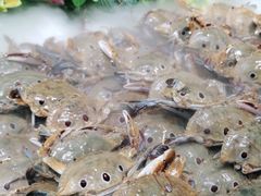 -红透天牛排海鲜自助(长和国际直营店)