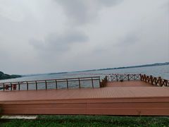 -丁香湖公园