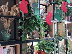 -ZING COFFEE 镜咖啡