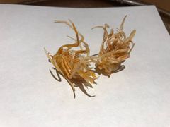 -Ginza Onodera铁板烧(外滩十八号店)