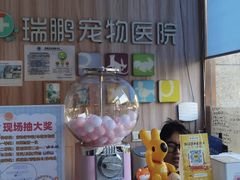-瑞鹏宠物医院·内科·中兽医·骨科(苗圃店)