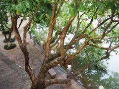 -广东温泉宾馆
